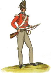 Sharpshooters of the Line Battalions – Sergeant